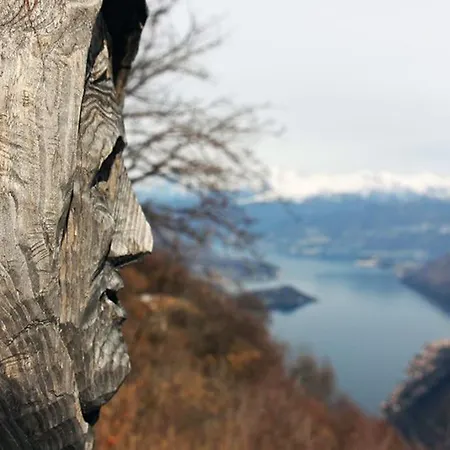 Rosa Perla - - Schignano (Como)