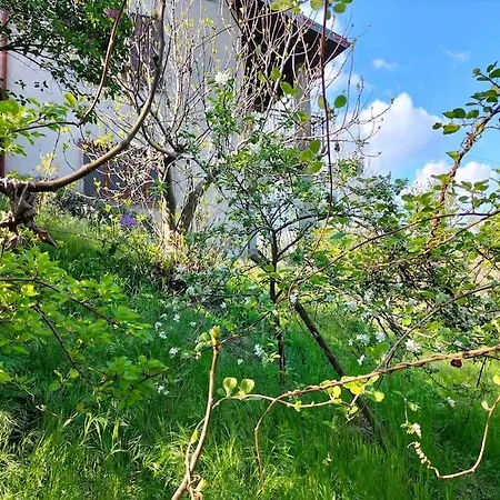 Apartament Rosa Perla - - *